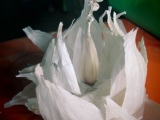 Making roses out of Garlic skins – WWOOFing